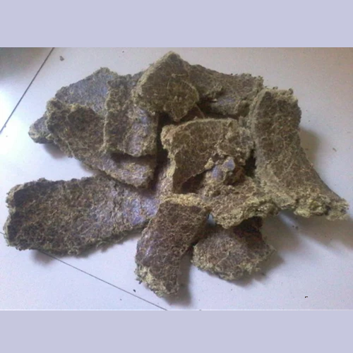 Cotton Feed
